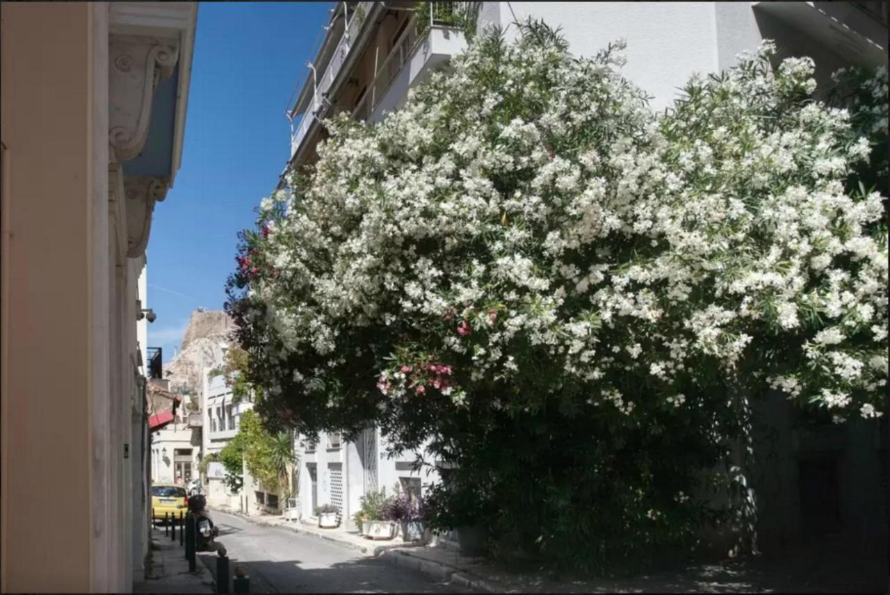 Appartamento Nephiria, Back To Tradition, In The Heart Of Plaka! Atene Esterno foto